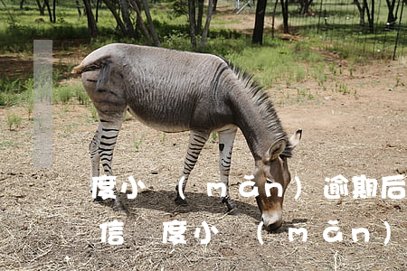 度小滿(mǎn)逾期后會(huì)上征信嗎(度小滿(mǎn)逾期了半天會(huì)上征信嗎)