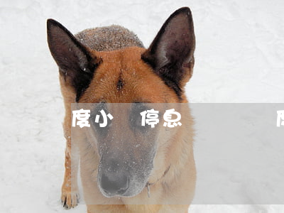 度小滿停息掛賬風險(度小滿銀行下架)