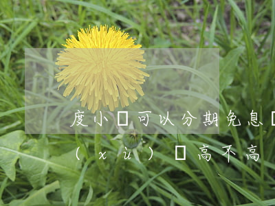 度小滿可以分期免息嗎(度小滿分期還款手續(xù)費高不高)