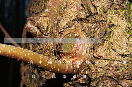 度小滿可以撤銷征信逾期記錄嗎-度小滿貸款可以撤銷嗎
