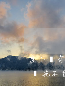 度小滿有錢花不讓我一次性還款-度小滿有錢花不能借款了