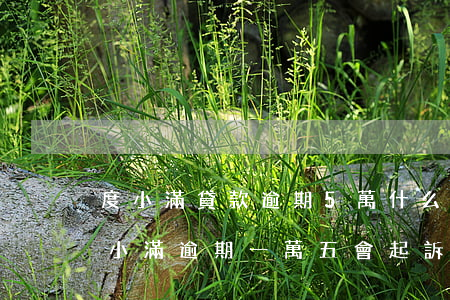 度小滿貸款逾期5萬,什么情況下會被起訴（度小滿逾期一萬五會起訴嗎）