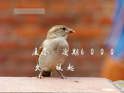 度小滿逾期6000會起訴嗎(度小滿逾期多久會被起訴)