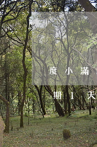 度小滿逾期一天就天天打電話嗎-度小滿逾期1天