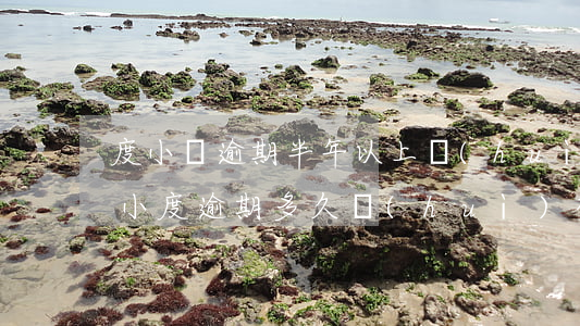 度小滿逾期半年以上會(huì)起訴嗎（滿小度逾期多久會(huì)被起訴）