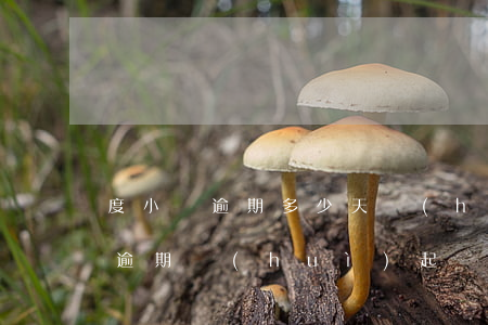 度小滿逾期多少天會(huì)起訴(度小滿逾期會(huì)起訴嗎)