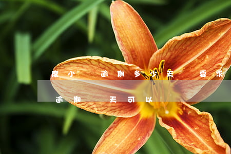 度小滿逾期多少天會要求全額還款-度小滿逾期幾天可以嗎