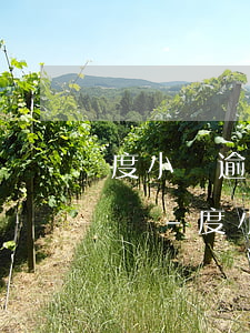 度小滿逾期會(huì)向戶籍地法院訴訟嗎-度小滿逾期會(huì)來(lái)戶籍地嗎