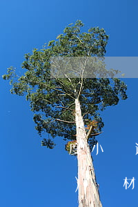 度小滿逾期發(fā)短信讓準(zhǔn)備材料應(yīng)訴-度小滿逾期發(fā)短信說(shuō)上門(mén)