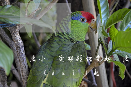 度小滿逾期短信要起訴 度小滿借款逾期多久會(huì)起訴