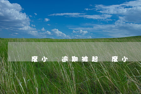 度小滿逾期被起訴（度小滿逾期被起訴）