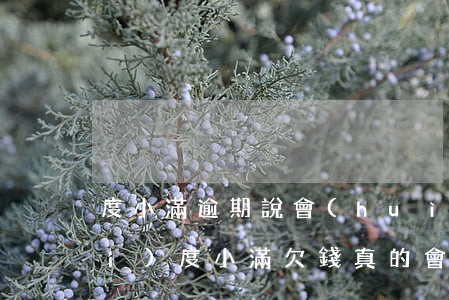 度小滿逾期說會(huì)有律師費(fèi)(度小滿欠錢,真的會(huì)被起訴?)