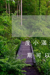 度小滿還不出來(lái)沒(méi)逾期可以協(xié)商嗎-度小滿還不上可以協(xié)商嗎