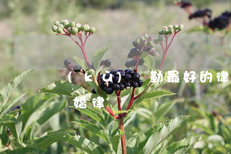 庫(kù)爾勒最好的律師(庫(kù)爾勒離婚律師)