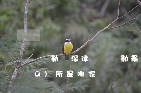 庫爾勒資深律師(庫爾勒最好的律師事務(wù)所是哪家?)
