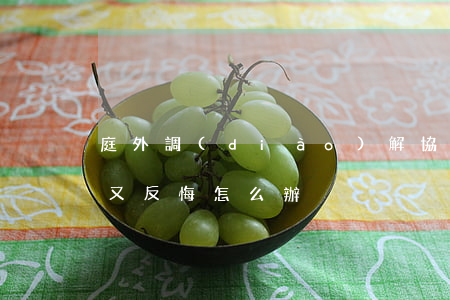 庭外調(diào)解協(xié)議簽了又反悔怎么辦
