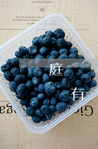 庭審筆錄法院可以作假嗎(庭審筆錄可以復印嗎,有沒有相關規(guī)定)