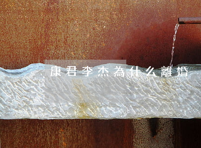康君李杰為什么離婚