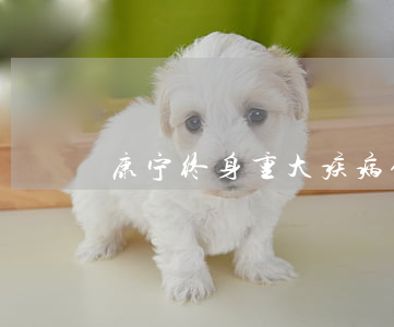 康宁终身重大疾病保险