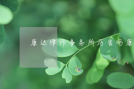 康达律师事务所厉害吗(康达律师现在还牛吗)