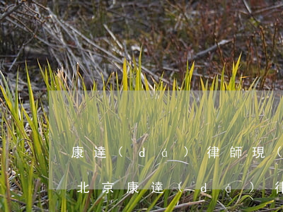 康達(dá)律師現(xiàn)在還牛嗎(北京康達(dá)律師事務(wù)所)
