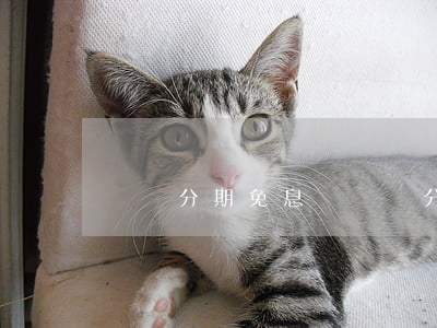 廂貨分期免息嗎 貨車分期有利息嗎