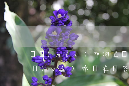 廈門(mén)市湖里債權(quán)債務(wù)律師在線咨詢-廈門(mén)市湖里債權(quán)債務(wù)律師在線咨詢電話