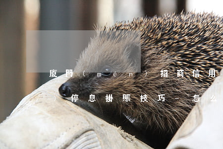 廈門(mén)招商信用卡申請(qǐng)停息掛賬技巧-怎么和招行信用卡申請(qǐng)停息掛賬