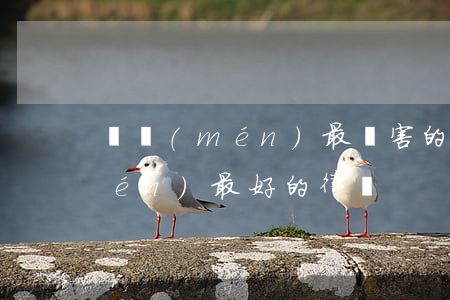 廈門(mén)最厲害的刑事律師(廈門(mén)最好的律師)