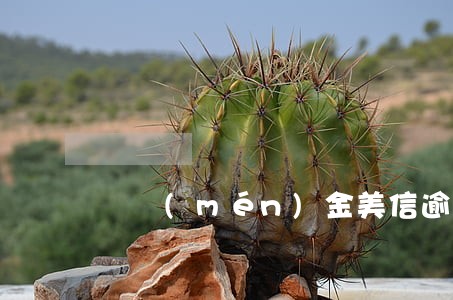 廈門(mén)金美信逾期代償(金美信貸款)