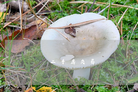 廈門二手房交易稅費
