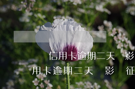 廈門信用卡逾期二天會影響征信嗎-廈門信用卡逾期二天會影響征信嗎知乎