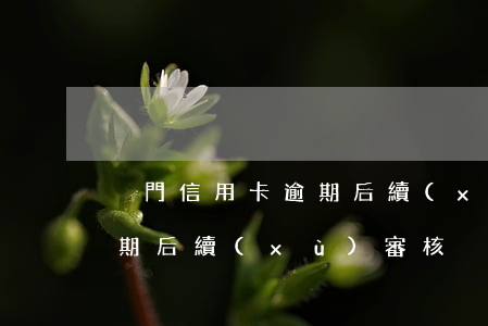 廈門信用卡逾期后續(xù)(廈門信用卡逾期后續(xù)審核)