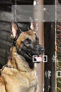 廈門免費(fèi)律師(廈門免費(fèi)律師事務(wù)所)