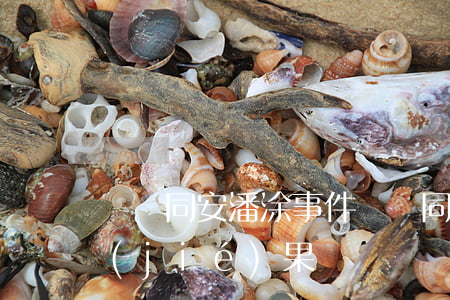 廈門同安潘涂事件(廈門同安潘涂事件處理結(jié)果)