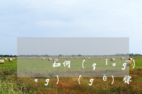 廈門如何請(qǐng)律師(廈門請(qǐng)個(gè)律師多少錢)