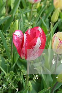 廈門市湖里債權(quán)債務律師在線咨詢-廈門市湖里債權(quán)債務律師在線咨詢電話
