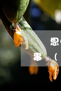 廈門思中律師事務(wù)所(廈門思中律師事務(wù)所)