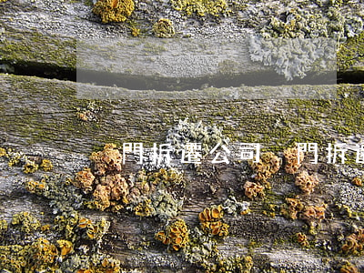 廈門拆遷公司(廈門拆遷公司注冊地)