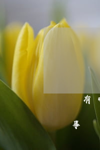 廈門有哪些律師事務(wù)所(廈門十大律師事務(wù)所排名榜)