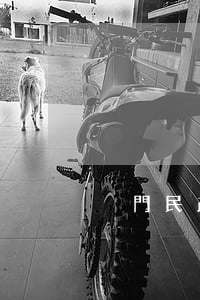 廈門民政局離婚登記處