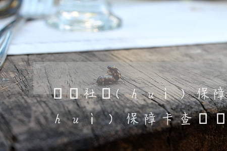 廈門社會(huì)保障卡查詢(廈門社會(huì)保障卡查詢個(gè)人賬戶查詢官網(wǎng))
