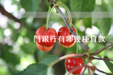 廈門銀行有哪幾種貸款（廈門銀行個性化分期）