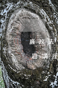 廉政法律法規(guī)知識(shí)專題講座(如何增強(qiáng)和樹立廉政法制意)