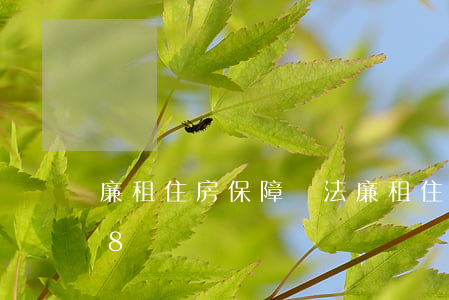 廉租住房保障辦法，廉租住房保障辦法2018
