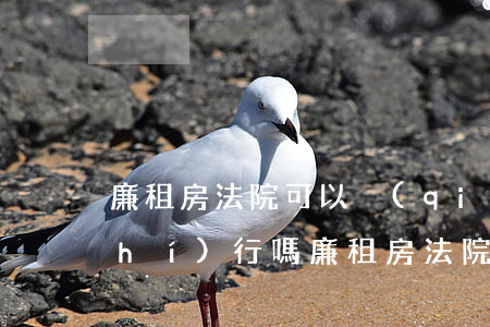 廉租房法院可以強(qiáng)制執(zhí)行嗎(廉租房法院可以強(qiáng)制執(zhí)行嗎)