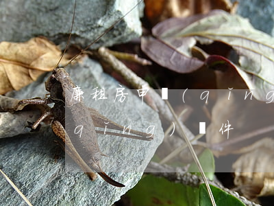 廉租房申請(qǐng)條件(廉租房申請(qǐng)條件)