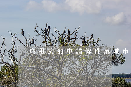廉租房的申請條件(麻城市廉租房的申請條件)