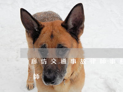 廊坊交通事故律師事務(wù)所(廊坊市律師)