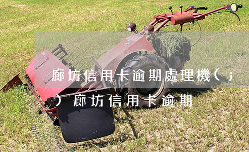 廊坊信用卡逾期處理機(jī)構(gòu)（廊坊信用卡逾期）